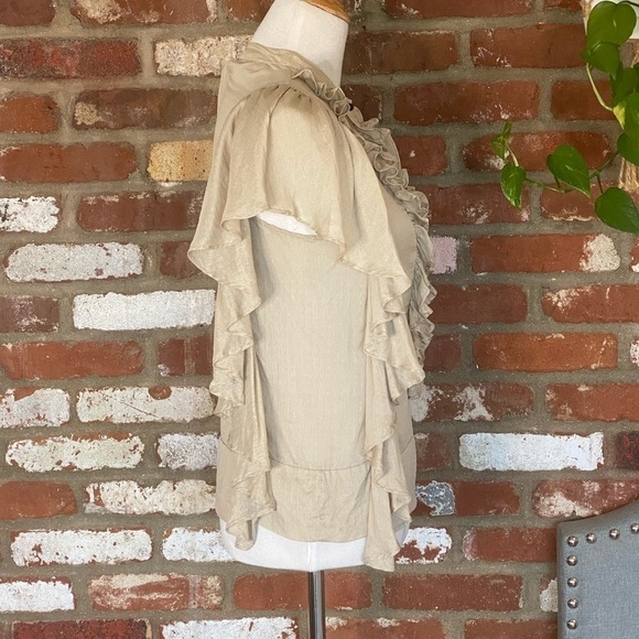 Robert Rodriguez Taupe Silk Ruffle Short Sleeve Top Size 6 - Picture 4 of 7